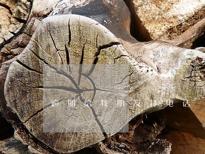 逾期给我朋友打电话 逾期给我朋友打电话