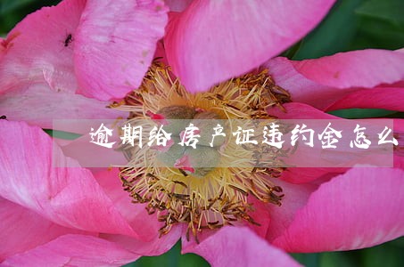 逾期给房产证违约金怎么算 逾期给房产证违约金怎么算
