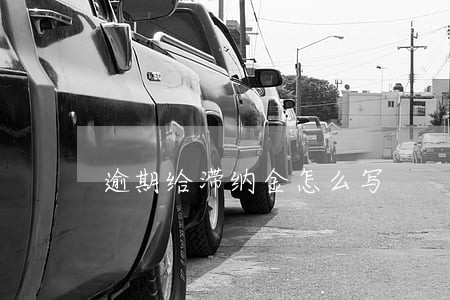 逾期给滞纳金怎么写 逾期给滞纳金怎么写