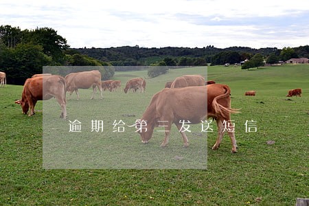 逾期给第三发送短信 逾期给第三发送短信