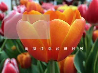 逾期续保起算时间 逾期续保起算时间