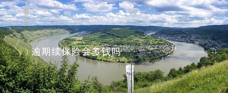 逾期续保险会多钱吗 逾期续保险会多钱吗