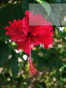 逾期缴款会影响信用等级吗 逾期缴款会影响信用等级吗