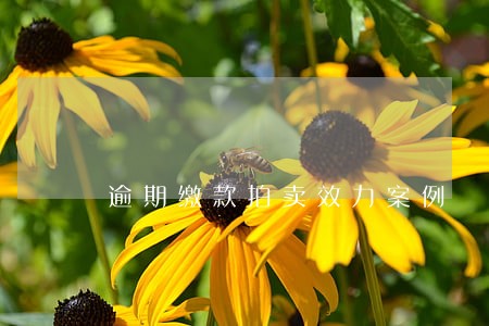 逾期缴款拍卖效力案例 逾期缴款拍卖效力案例