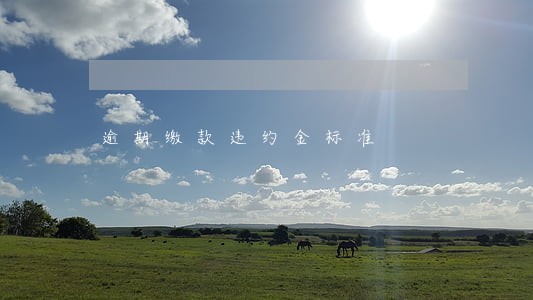 逾期缴款违约金标准