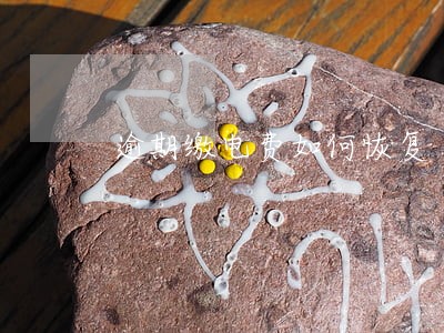 逾期缴电费如何恢复 逾期缴电费如何恢复