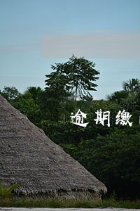 逾期缴的滞纳金计什么科目 逾期缴的滞纳金计什么科目