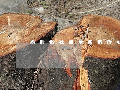 逾期缴社保费会有什么效果 逾期缴社保费会有什么效果
