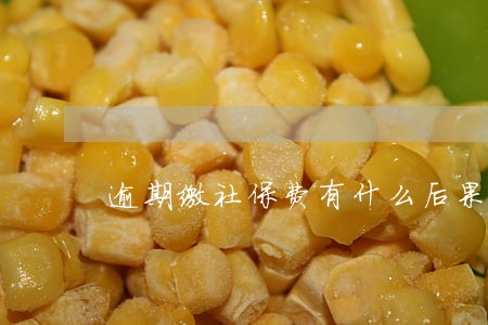 逾期缴社保费有什么后果 逾期缴社保费有什么后果
