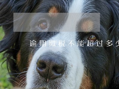 逾期缴税不能超过多少天 逾期缴税不能超过多少天