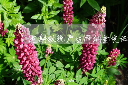 逾期缴税产生滞纳金凭证 逾期缴税产生滞纳金凭证