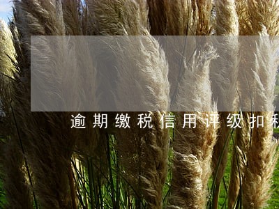 逾期缴税信用评级扣积分 逾期缴税信用评级扣积分