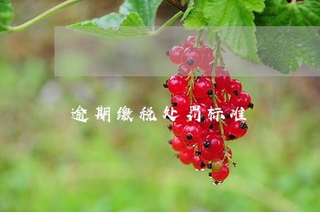 逾期缴税处罚标准 逾期缴税处罚标准
