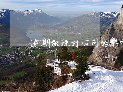 逾期缴税对公司的影响 逾期缴税对公司的影响