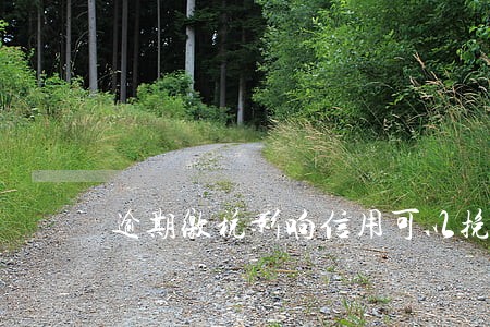 逾期缴税影响信用可以挽回吗 逾期缴税影响信用可以挽回吗