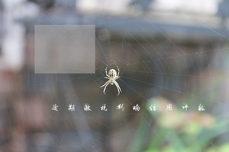 逾期缴税影响信用评级 逾期缴税影响信用评级