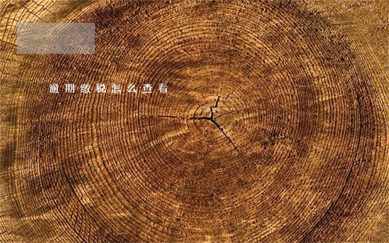 逾期缴税怎么查看 逾期缴税怎么查看