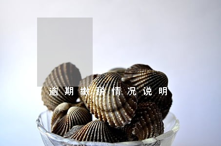 逾期缴税情况说明 逾期缴税情况说明