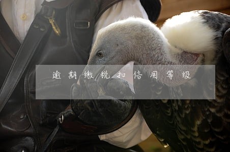 逾期缴税扣信用等级 逾期缴税扣信用等级