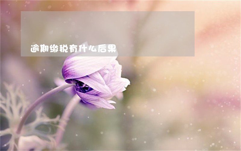 逾期缴税有什么后果 逾期缴税有什么后果