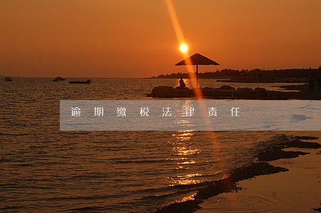 逾期缴税法律责任 逾期缴税法律责任