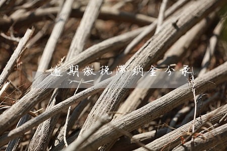 逾期缴税滞纳金分录 逾期缴税滞纳金分录