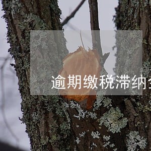 逾期缴税滞纳金教育费附加 逾期缴税滞纳金教育费附加