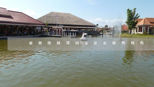 逾期缴税滞纳金是去税务局吗 逾期缴税滞纳金是去税务局吗