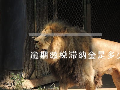 逾期缴税滞纳金是多少钱 逾期缴税滞纳金是多少钱
