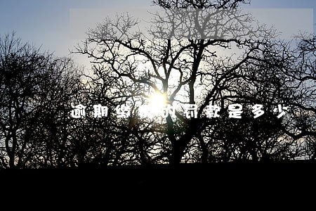 逾期缴税的罚款是多少