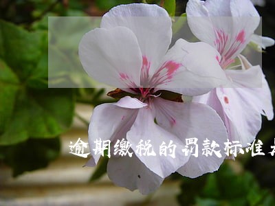 逾期缴税的罚款标准是多少