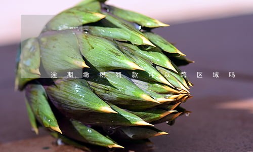 逾期缴税罚款可以跨区域吗 逾期缴税罚款可以跨区域吗