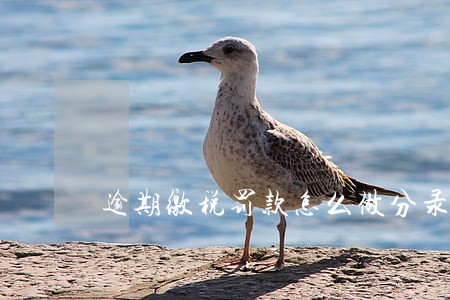 逾期缴税罚款怎么做分录 逾期缴税罚款怎么做分录