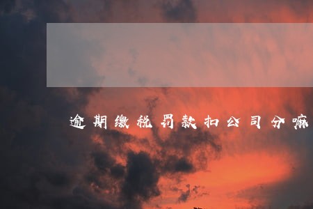 逾期缴税罚款扣公司分嘛 逾期缴税罚款扣公司分嘛