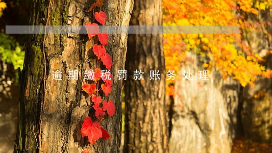 逾期缴税罚款账务处理