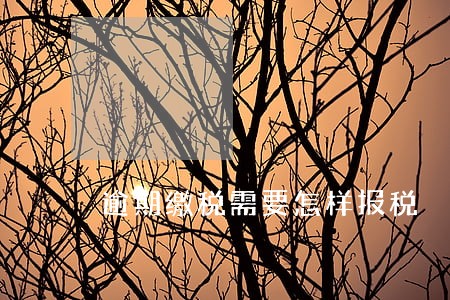 逾期缴税需要怎样报税 逾期缴税需要怎样报税