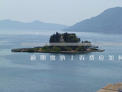 逾期缴纳上诉费应如何处理 逾期缴纳上诉费应如何处理
