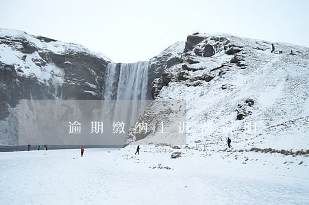 逾期缴纳上诉费说明