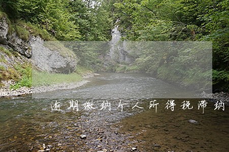 逾期缴纳个人所得税滞纳金怎么算 逾期缴纳个人所得税滞纳金怎么算