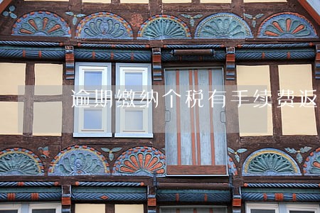 逾期缴纳个税有手续费返还 逾期缴纳个税有手续费返还