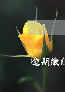 逾期缴纳个税税务操作流程 逾期缴纳个税税务操作流程