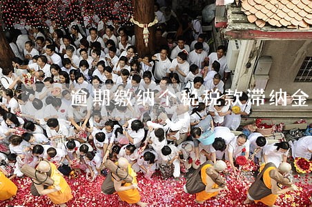 逾期缴纳个税税款滞纳金 逾期缴纳个税税款滞纳金