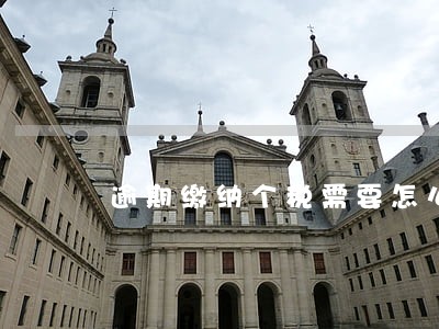 逾期缴纳个税需要怎么办理 逾期缴纳个税需要怎么办理