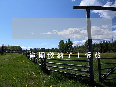 逾期缴纳了上诉费 逾期缴纳了上诉费