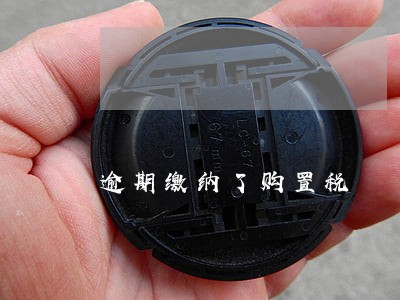 逾期缴纳了购置税 逾期缴纳了购置税