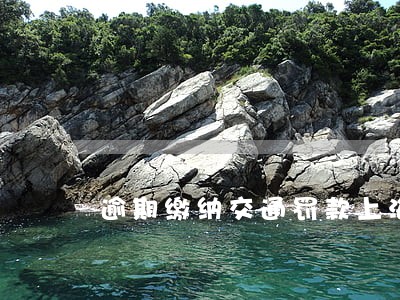 逾期缴纳交通罚款上海 逾期缴纳交通罚款上海