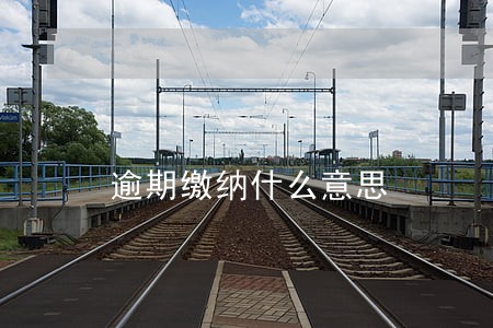 逾期缴纳什么意思 逾期缴纳什么意思