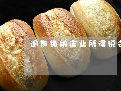 逾期缴纳企业所得税会影响什么 逾期缴纳企业所得税会影响什么