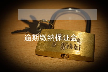 逾期缴纳保证金 逾期缴纳保证金