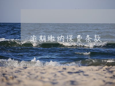 逾期缴纳保费条款